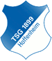 http://prognozitebg.com/LogoZ/Hoffenheim.gif